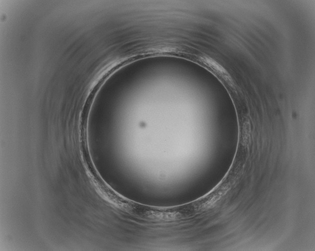 X0000062171039200512161246