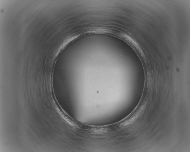 X0000062171041200512161246