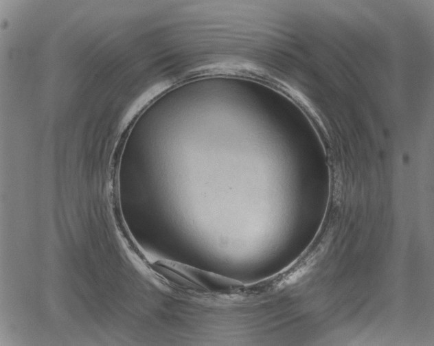 X0000062171042200512161246