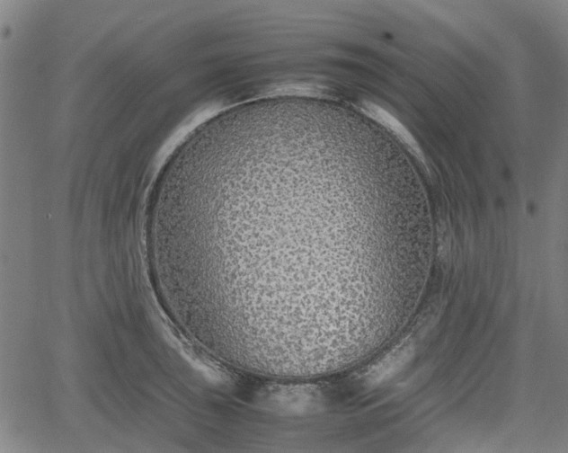 X0000062171043200512161246