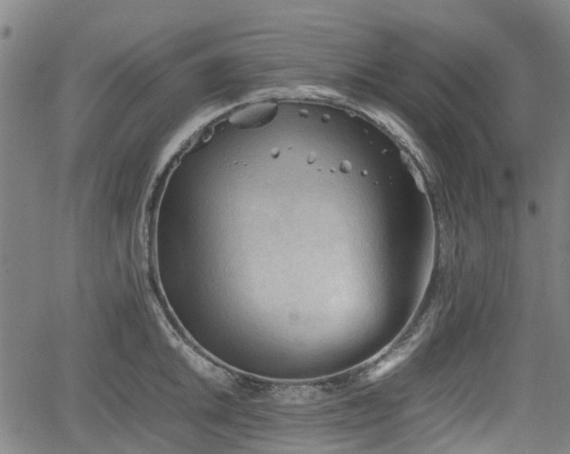 X0000062171046200512161246