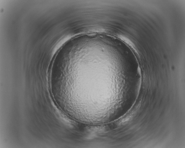 X0000062171047200512161246