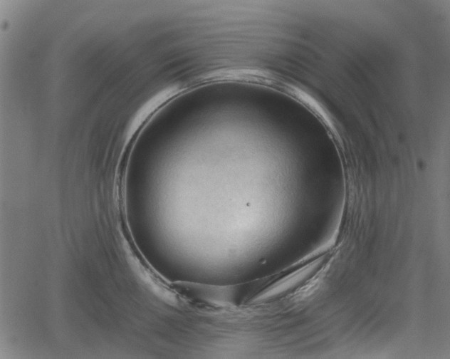 X0000062171050200512161246