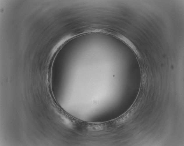 X0000062171051200512161246