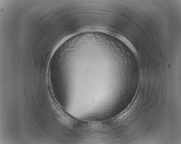 X0000062171052200512161246