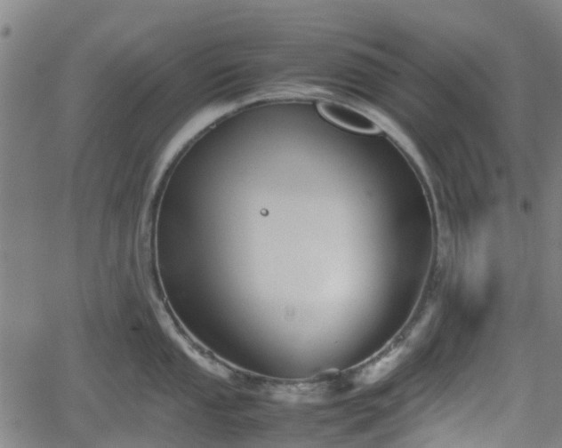 X0000062171053200512161246