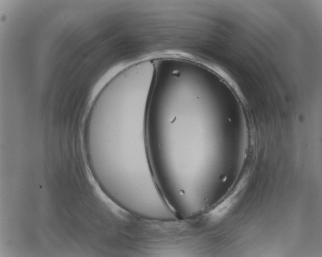 X0000062171054200512161246