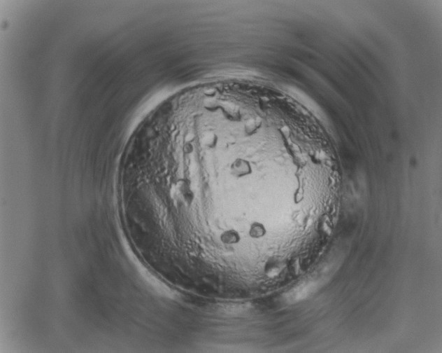 X0000062171055200512161246