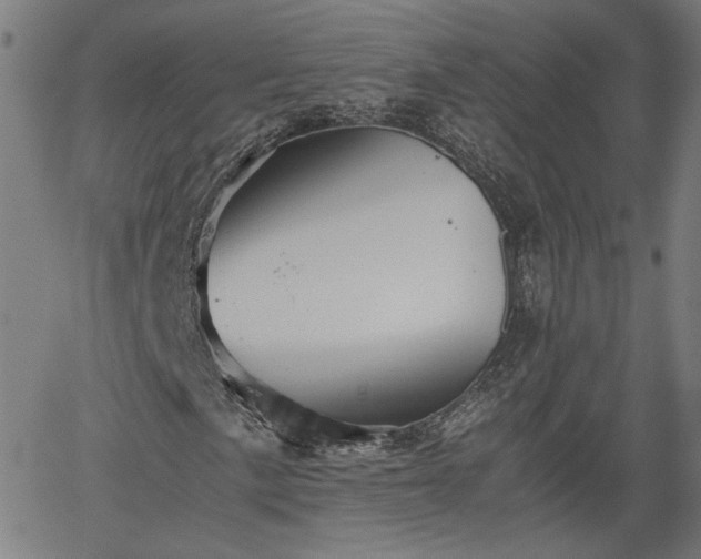 X0000062171057200512161245