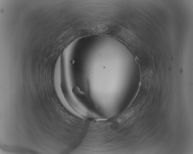 X0000062171058200512161245