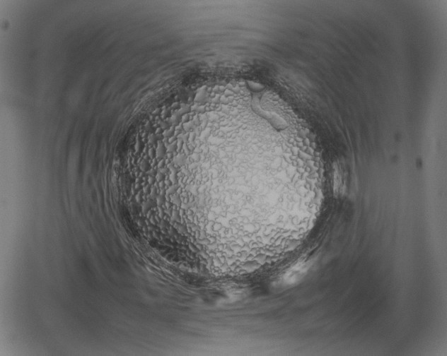 X0000062171059200512161245