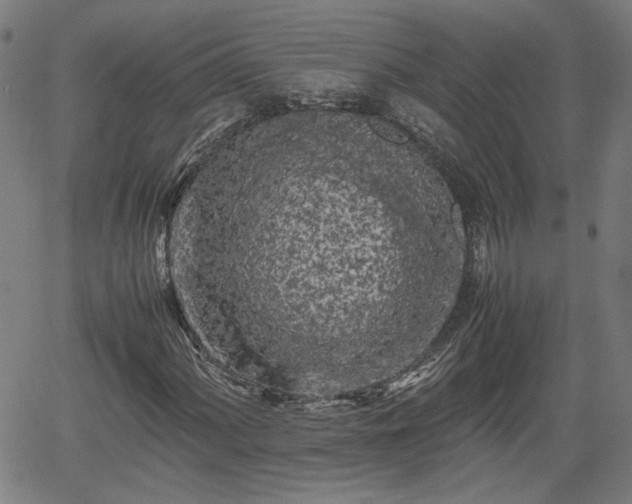 X0000062171060200512161245