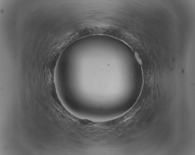 X0000062171061200512161245