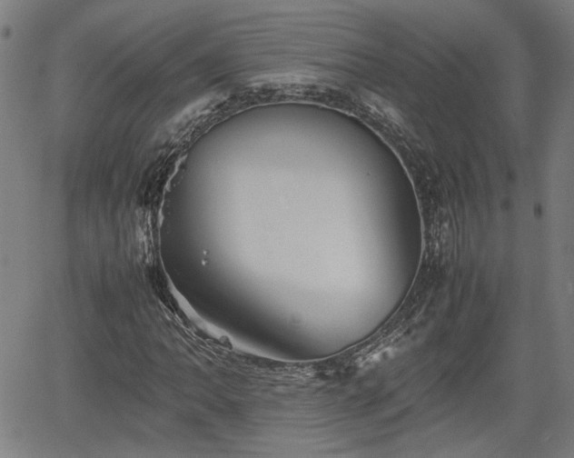 X0000062171062200512161245