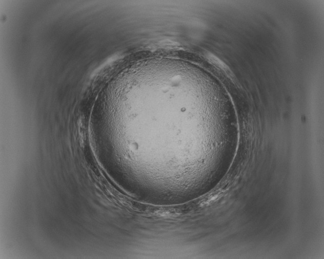 X0000062171063200512161245