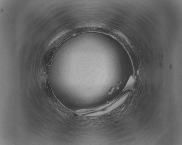 X0000062171064200512161245