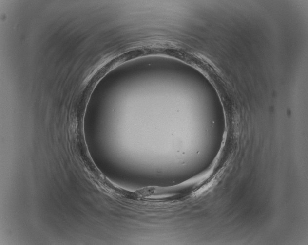 X0000062171065200512161245