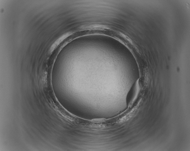 X0000062171066200512161245