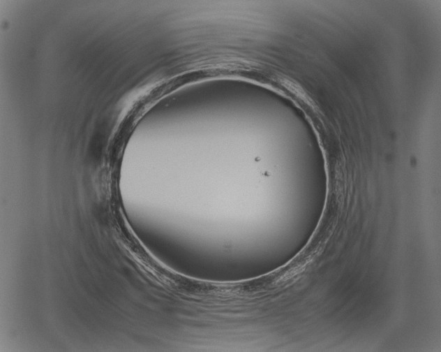 X0000062171067200512161245