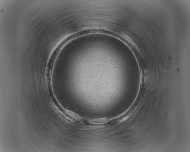 X0000062171068200512161245