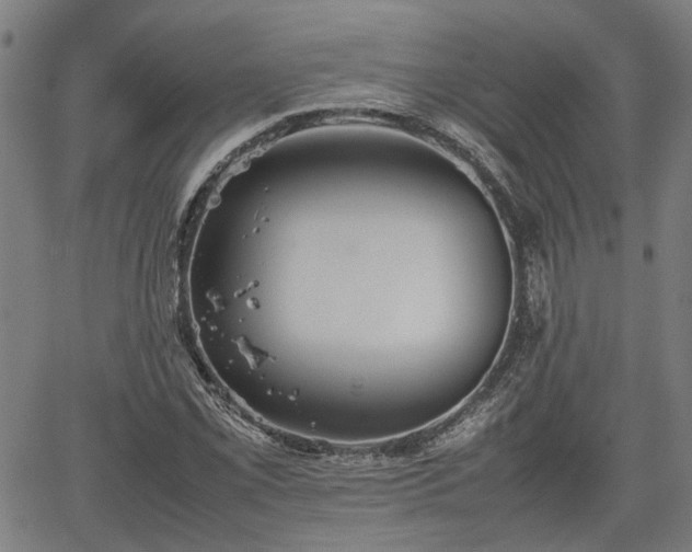 X0000062171069200512161245