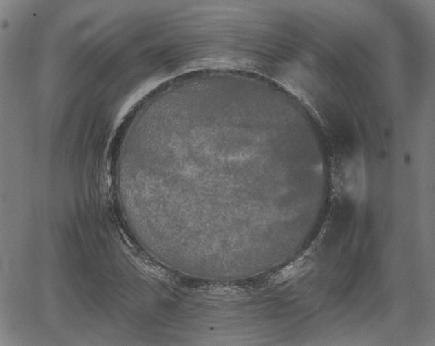 X0000062171070200512161245