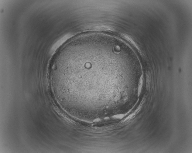 X0000062171071200512161245