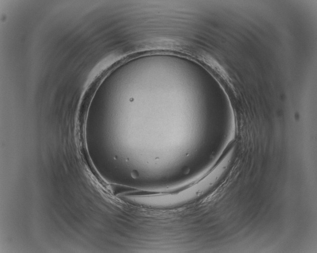 X0000062171072200512161245