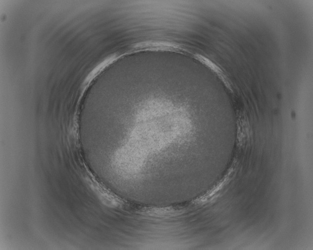 X0000062171074200512161245