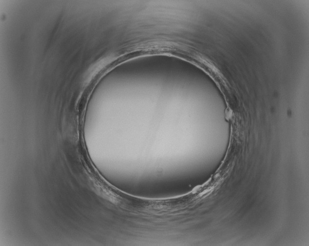 X0000062171075200512161245