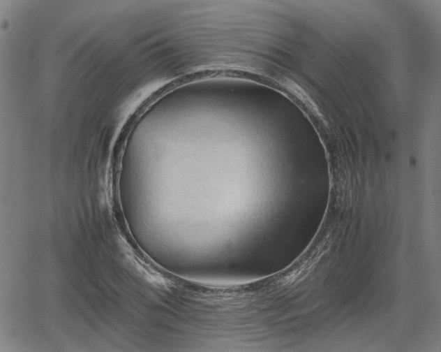 X0000062171076200512161245