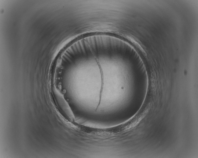 X0000062171077200512161245