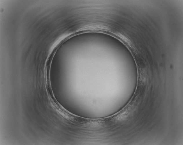 X0000062171078200512161245