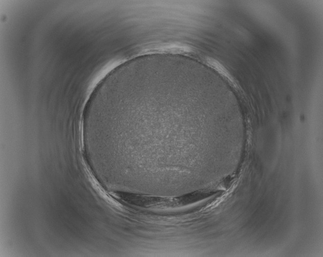 X0000062171079200512161245