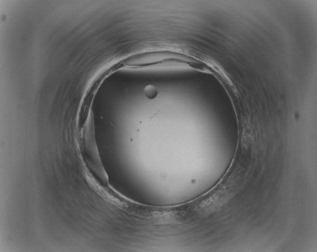 X0000062171080200512161245