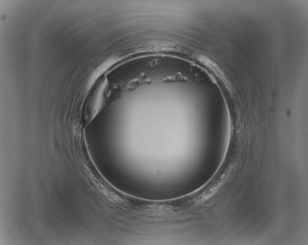 X0000062171081200512161245