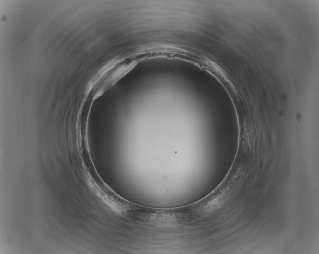 X0000062171082200512161245