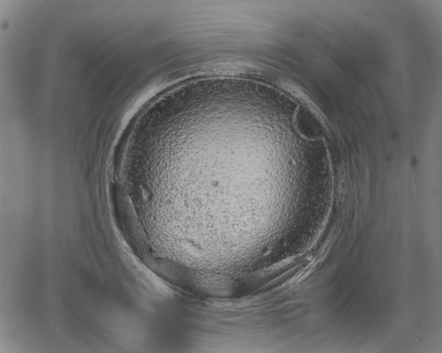 X0000062171083200512161245