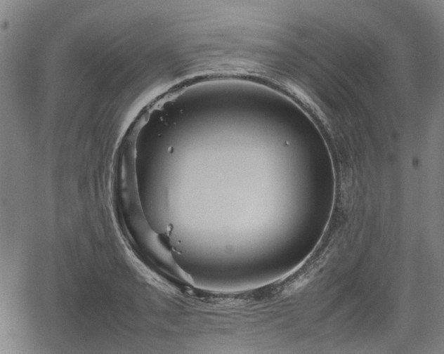 X0000062171085200512161245