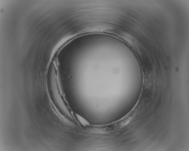 X0000062171086200512161245