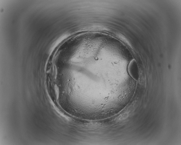 X0000062171087200512161245