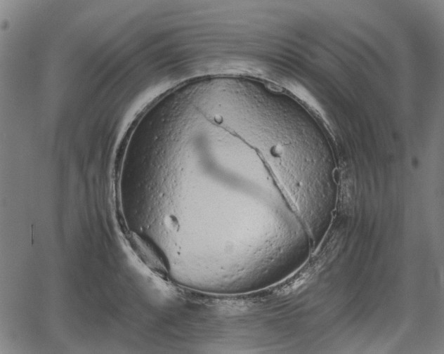 X0000062171088200512161245