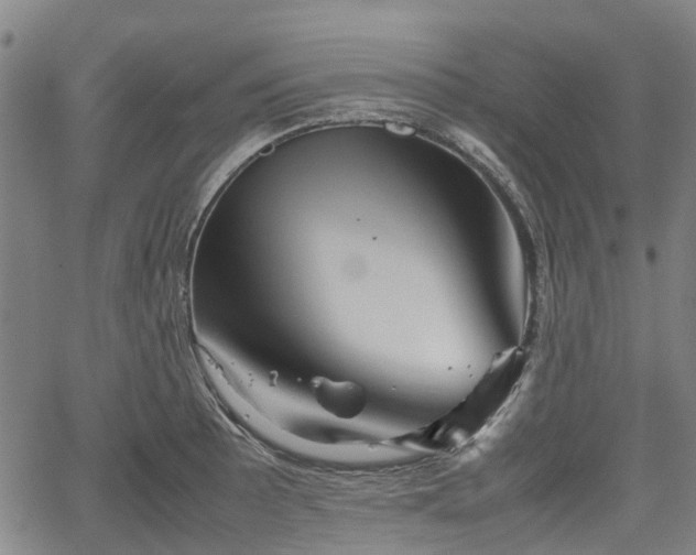 X0000062171089200512161245