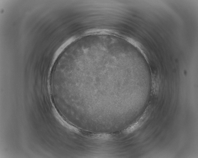 X0000062171090200512161245