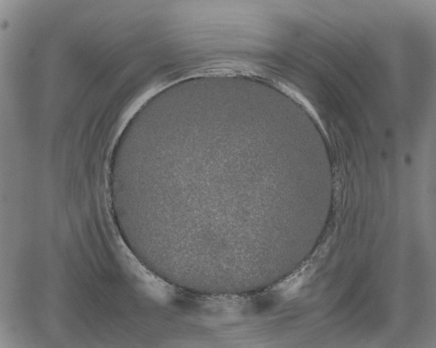 X0000062171091200512161245