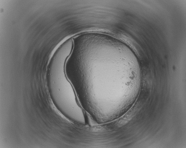 X0000062171092200512161245