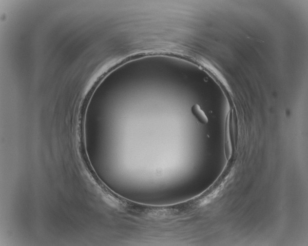 X0000062171093200512161245