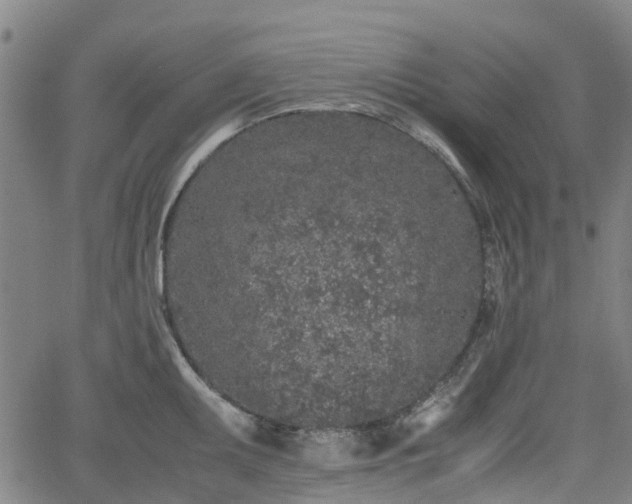 X0000062171095200512161245