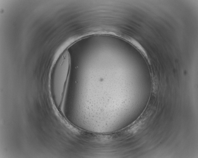 X0000062171096200512161245