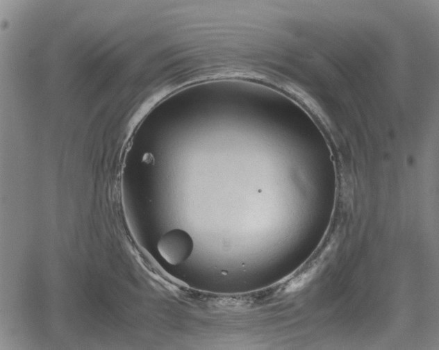 X0000062171097200512161245